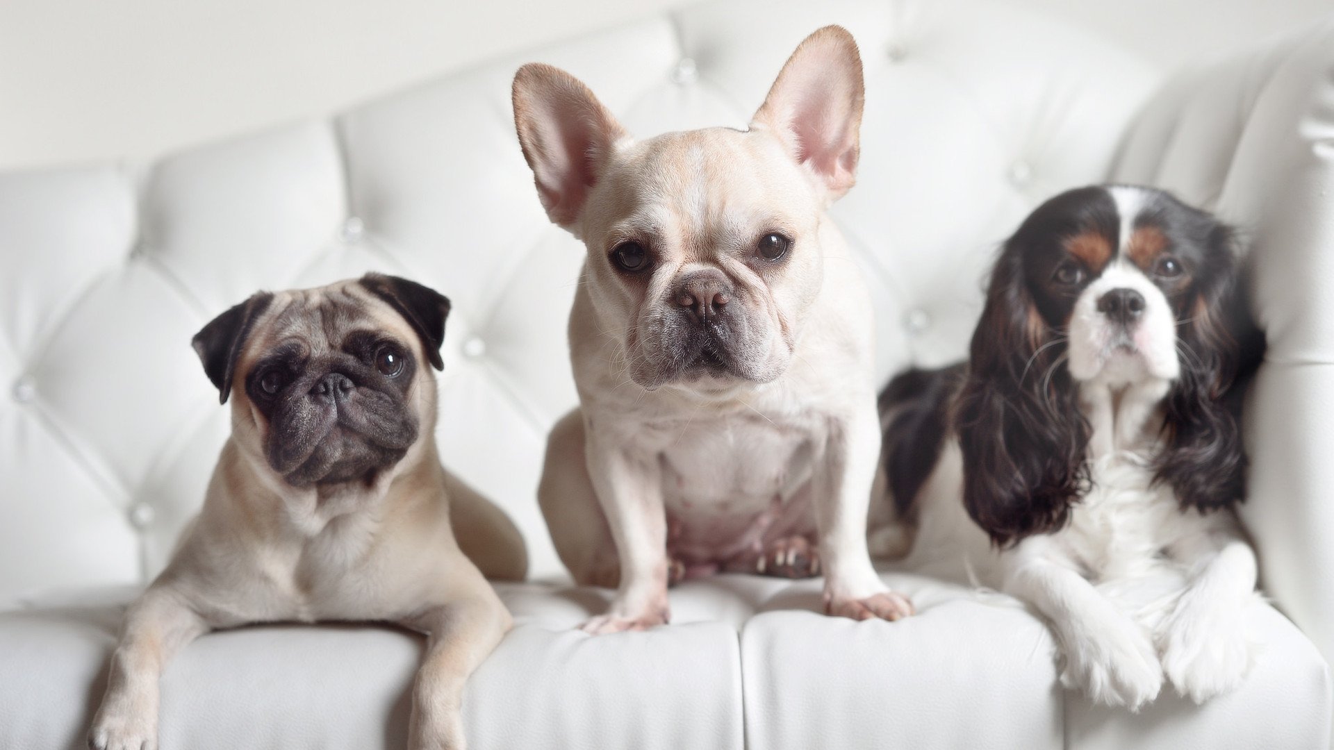 九游娱乐中心-NBA球员替补上场心理状态对得分效率的影响，nba替补上场时间