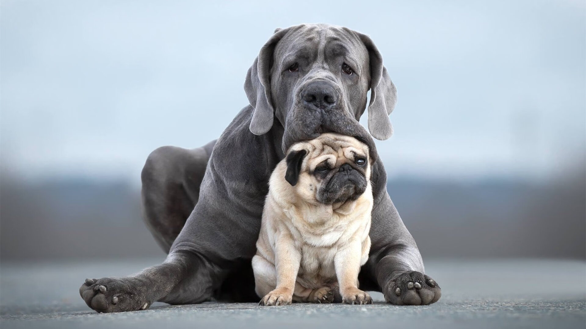 篮球专项动作捕捉技术创新与教学应用研究，篮球动作训练