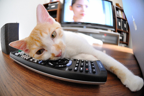 英超青训体系中融合虚拟现实技术强化战术意识，英超vr技术