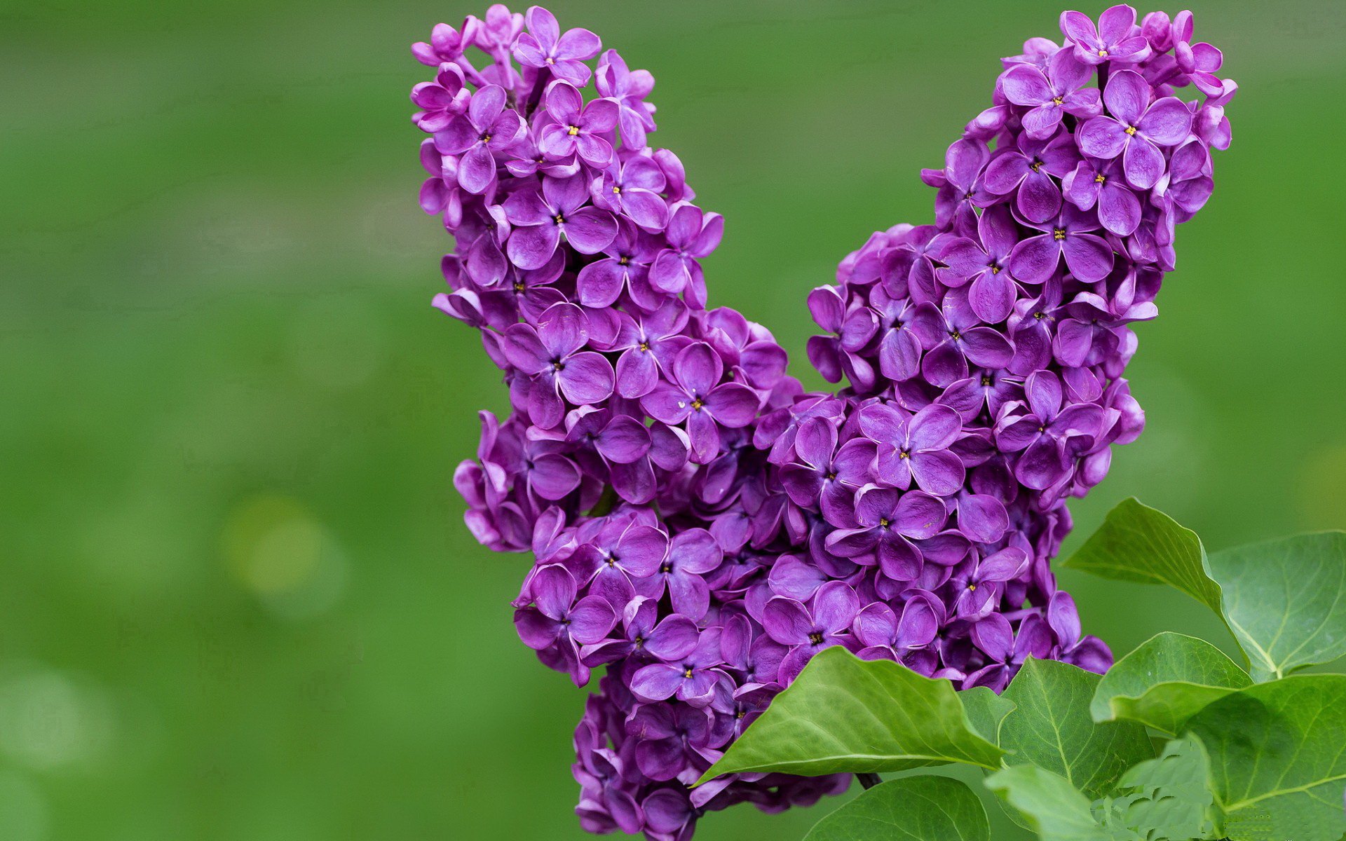 英超青训体系中融合虚拟现实技术强化战术意识，英超vr技术