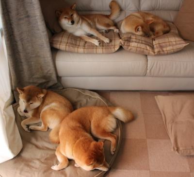 中国足球国家队推动多元文化理解与融合训练,基于文化视角的中国足球发展困境与出路