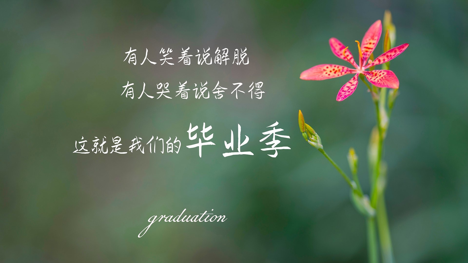 九游sports-多名年轻选手崭露头角，潜力巨大