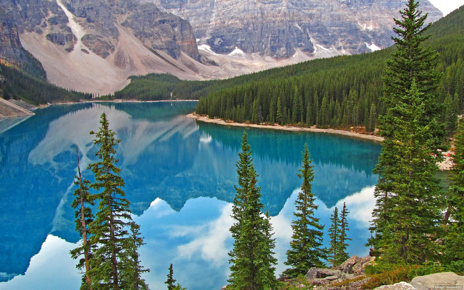 多名年轻选手崭露头角，潜力巨大