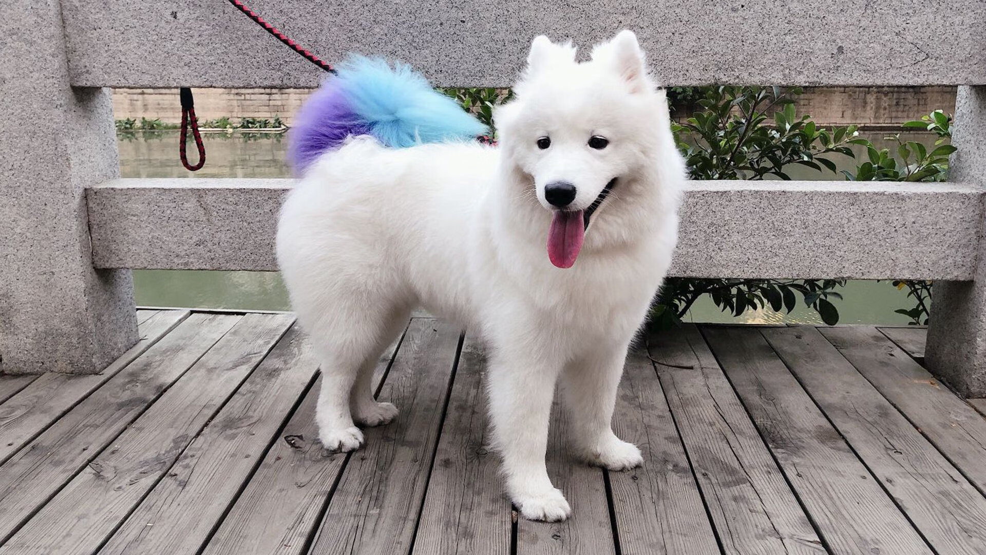 JiuyouAPP下载-6连败阴云笼罩，法兰克福今晚对勒沃库森寻求突破，法兰克福对勒沃库森预测